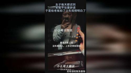 So老板在线视频,揭秘现代企业管理智慧