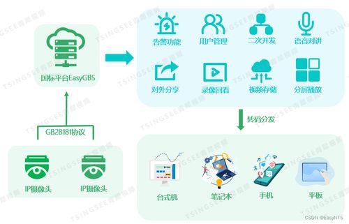 国标综合在线视频观看,综合分析与应用展望