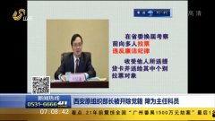 主任科员在线视频,揭秘公务员日常与工作技巧