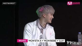 蜜虎在线视频观看,探索自然奇观，感受生命魅力