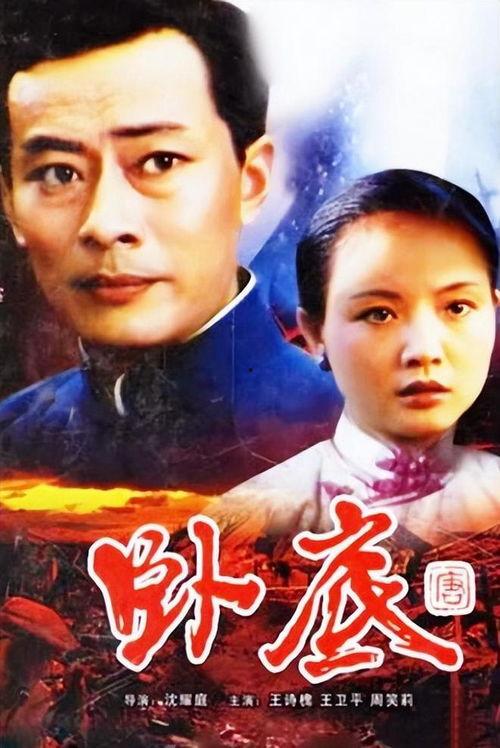 儿女传奇在线视频观看免费,免费在线观看，传承家族荣耀的传奇故事