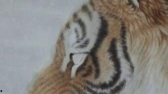 四虎黄在线视频