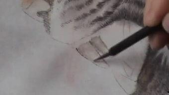 四虎黄在线视频