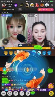 牛牛碰在线视频直播,畅享互动直播，体验全新娱乐盛宴