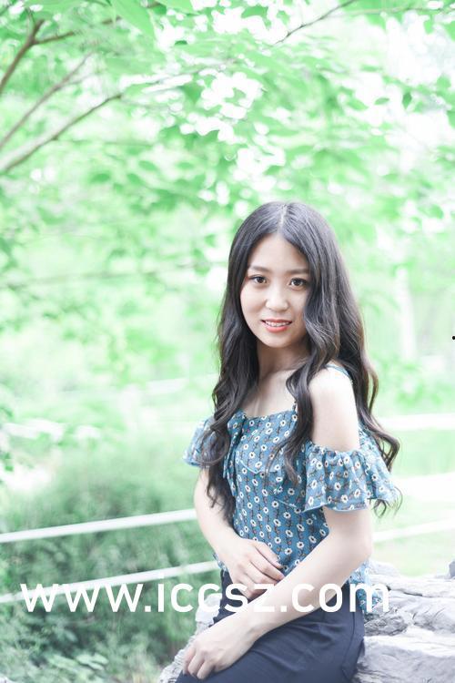 大黄号 在线视频