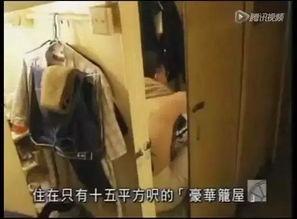 残忍另类bdsm在线视频观看,残忍另类BDSM在线视频探秘