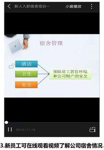 员工在线视频更新,技能提升与团队协作新篇章
