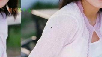 春暖花开 8在线视频,8在线视频带你领略美好时光 第3张 春暖花开 8在线视频,8在线视频带你领略美好时光 第3张