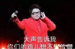 鸡不放假在线视频,揭秘农场鸡的24小时工作日常  第3张